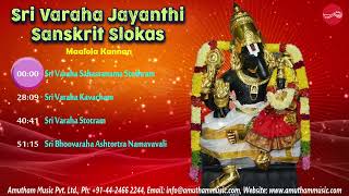 Sri Varaha Jayanthi Slokas || Maalola Kannan