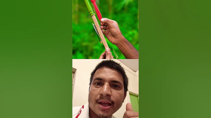 diy bamboo slingshots with slingel bamboo stick #slingshots #bambooart #bamboo #bamboorod #shorts