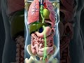 AI-Driven Health Tips: Data-Backed Wellness Insights for 2026