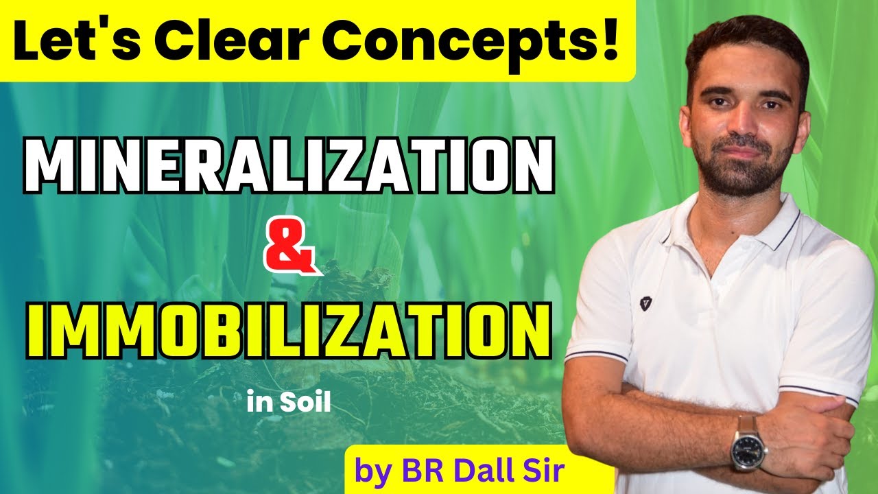 Mineralization and Immobilization !! खनिजीकरण और स्थिरीकरण !! Concept Clear