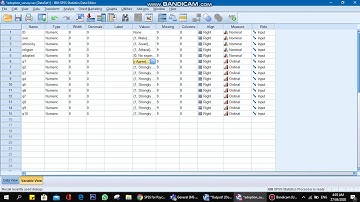 4th Data Handling Command Recoding Values Using SPSS