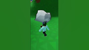 How to find Letter B Floppa in Roblox (Find the Floppa Morphs!)