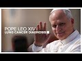 People react with well wishes to Pope Leo XIV lung cancer diagnosis