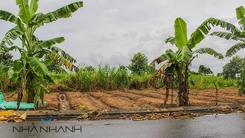 500 triệu | Bán nền 111m2 thổ cư khu dân cư Ngân Thuận, Bình thủy