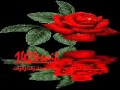 عبادي الجوهر لحظات اعيشك وقت والوقت لحظات 