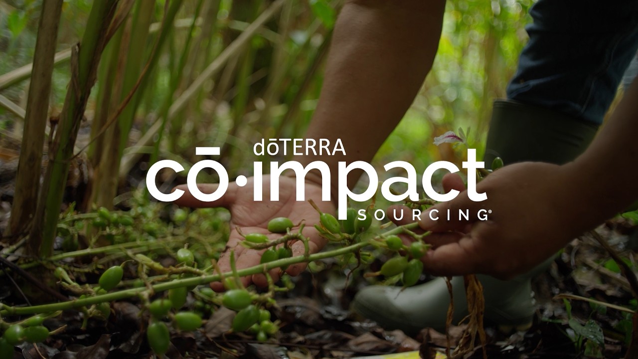Nature's Rx Kit | doTERRA Essential Oils