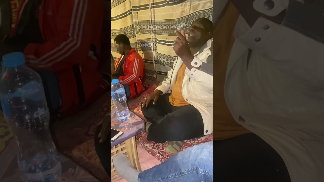 احلى انسجام نوبي