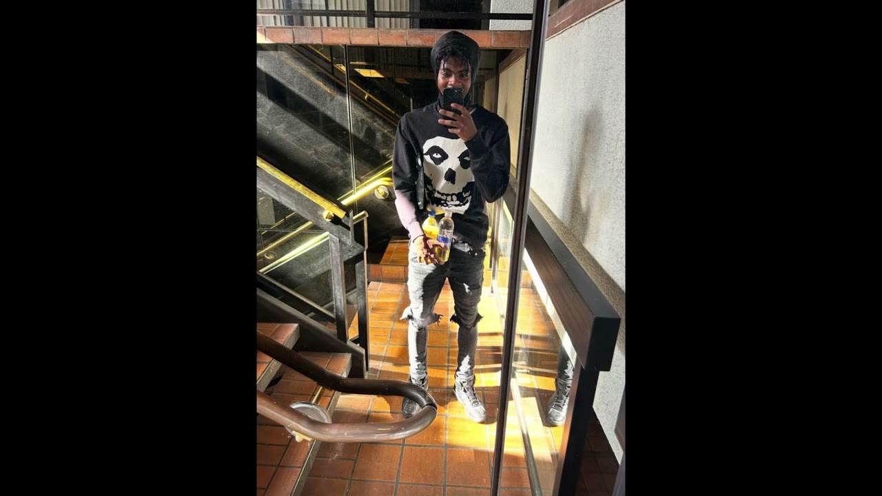 [FREE] Lazer Dim 700 type 