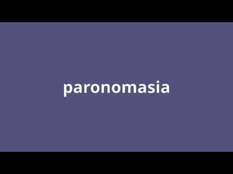 what is the meaning of paronomasia.
