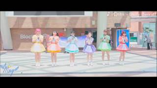 【Mayfly 】 i☆Ris - Daily Berry!!  -理大藝墟2018-
