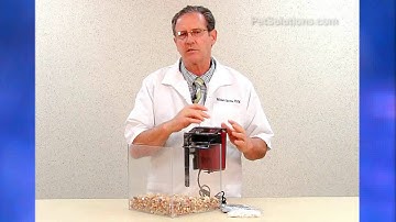 PetSolutions: Fluval C Series PowerFilter