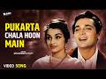Pukarta Chala Hoon Main Mere Sanam 1965 Mohammed Rafi Evergreen Romantic Song 