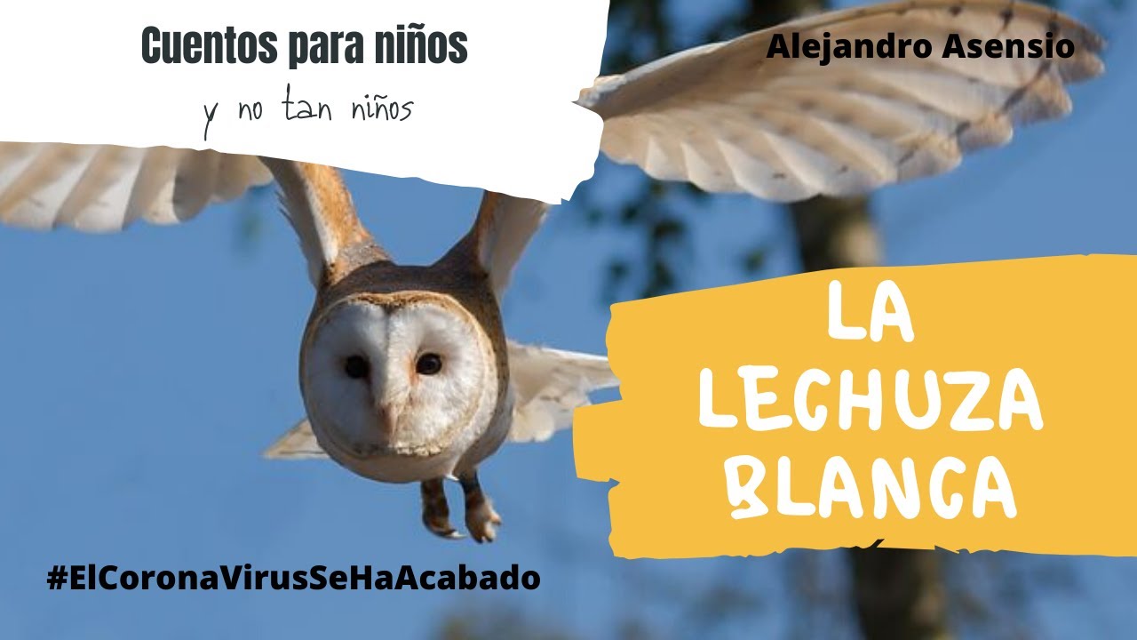 La lechuza blanca | CUENTOS PARA NIÑOS y no tan niños | #