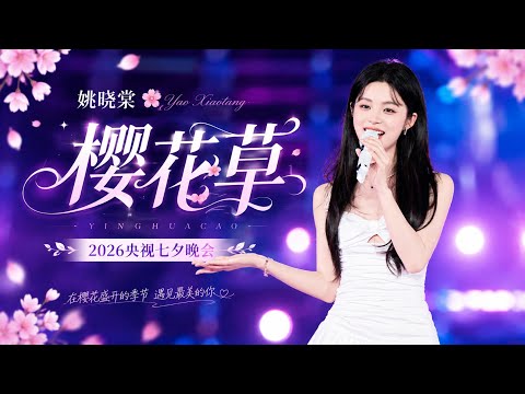 【姚晓棠】《樱花草》完整版｜2026央视七夕晚会 #姚晓棠 
