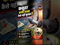 Nature Ka GPS: Kabootar Ka Secret!#shorts #pigeon #animalfacts #sciencefacts #birds #viral #nature