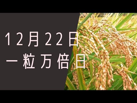 【１２月２２日】今日は何の日？一粒万倍日♪「自分を信じて進もう♪？」/雑学