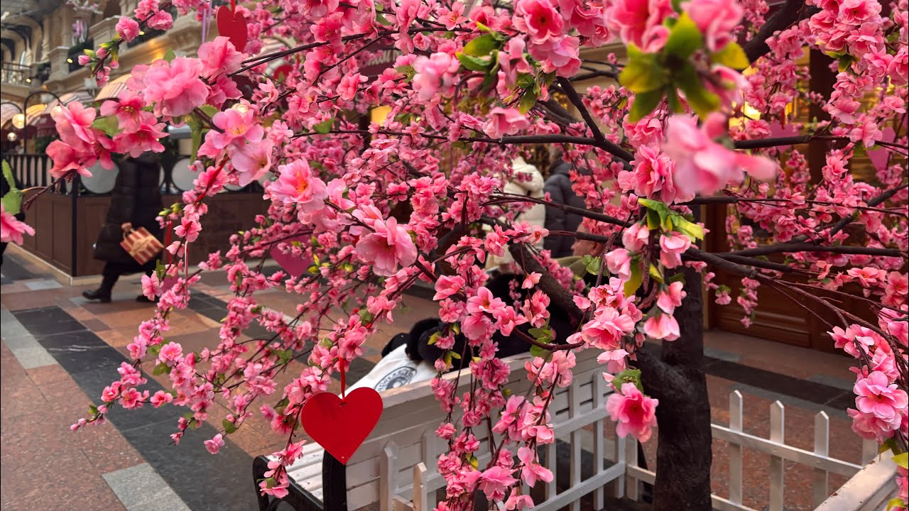 Прогулка по Москве КРАСНАЯ ПЛОЩАДЬ🌸ПАРК ЗАРЯДЬЕ