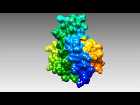 ቪዲዮ: Myoglobin ምንድን ነው?