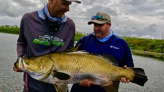 CRAZY TOPWATER BARRAMUNDI / AWOONGA DAM