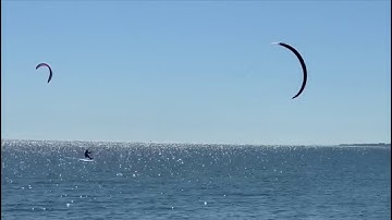 Reggae Foil V-log 48