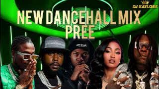 NEW DANCEHALL MIX 2025 VYBZ KARTEL, MAVADO, INPHA REBLITIVE, SKILLIBENG, BLU LYON, ALKALINE,POPCAAN