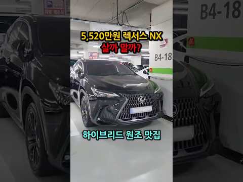 5,520만원 <strong>렉서스</strong> NX 하이브리드 살까 말까? #중고차