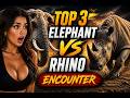 Elephant vs Rhino: Top 3 Most Intense Encounters