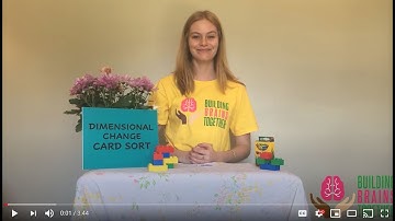 How to Play Dimensional Change Card Sort