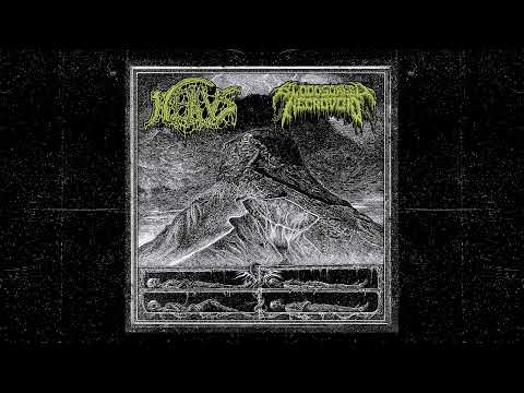 NEKUS / BLOODSOAKED NECROVOID — split, 2026