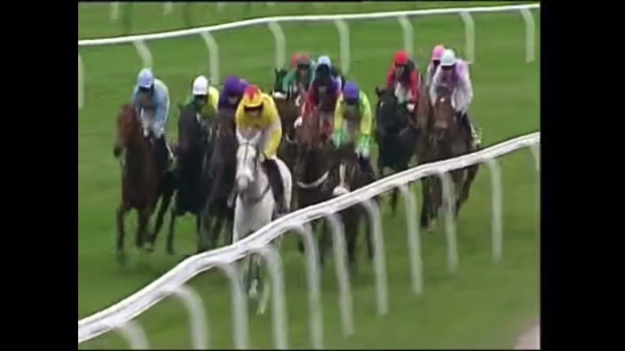 2009 Cheltenham Gold Cup