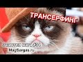 Транcерфинг Реальности с Точки Зрения Практической Магии - Маг Sargas