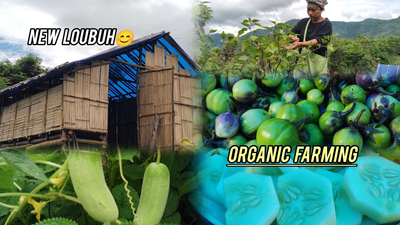 ANJANG,CHANGMAI LO PAN AHITAI.VEUVIN LOUBUH JONG ATHAH AHITAI SOPITE.