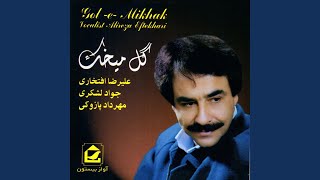 Koo Mohabbat - Alireza Eftekhari