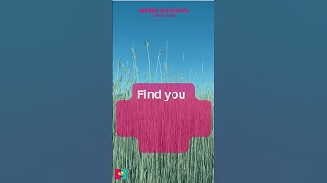 Discover Serenity: Navigating Life