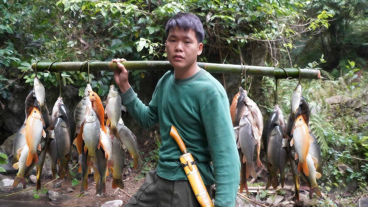 Go deep into the forest to explore an abandoned pond, catch lots of fish from the abandoned pond