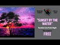 "Sunset by the water"- YouTube Live Painting Tutorial