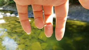 lo-fi outdoor ASMR💤 | For Aaliyah! Gentle Build Up Tapping, Scratching & Screen Taps By The Creek🌳😊