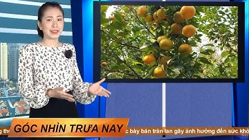 Góc nhìn trưa nay | Cô gái thu trăm triệu mỗi tháng từ nghề làm hoa thủ công