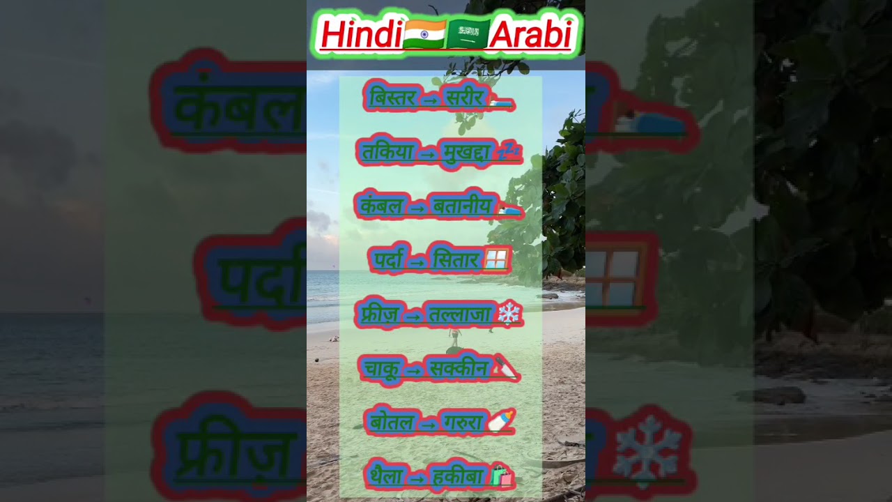 अरबी भाषा मे बोतल और थैला का क्या अनुवाद होगा 🌋✔️ #languagelearning #worldlanguages #arabibhasha