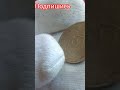 ЩИТОВИК 1932 ГОД БРАК ! НЕБОЛЬШОЙ ПОВОРОТ . . . #coin #коллекционированиемонет #барахолкакупить #rap