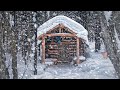 Found a 30 Year-Old Log Cabin in the Forest! Unbelievable Find and My Overnight Stay!