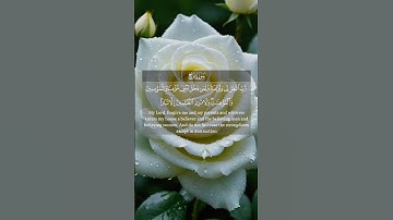 #القرآن_الكريم #سورة-نوح