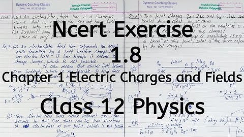 Ncert Exercise 1.8, Chapter 1, Electric Charges and Fields, Class 12 Physics
