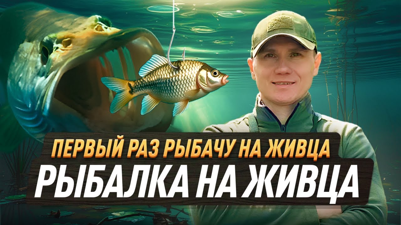 ПЕРВЫЙ РАЗ ЛОВЛЮ ЩУКУ НА ЖИВЦА. Рыбалка на живца