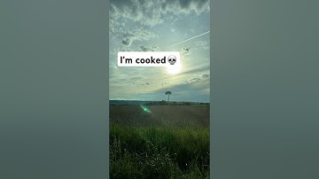 💀 #Lepidodendron #tree #meme #shorts #2025