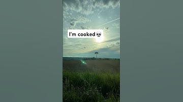 💀 #Lepidodendron #tree #meme #shorts #2025