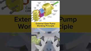 External Gear Pump Working Principle