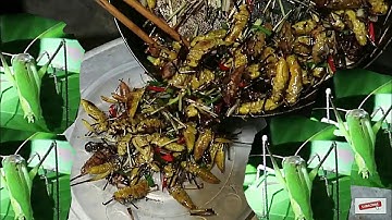 MANH MĂN NU | Món Ăn Từ Côn Trùng | Dân Tộc Tây Bắc