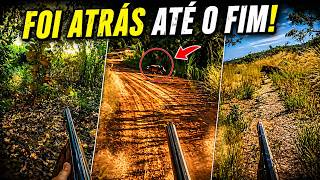 2 JAVALIS GRANDES NO FINAL - CAÇADA DE JAVALIS EM MINAS GERAIS
