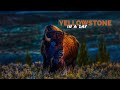 Yellowstone National Park in a Day